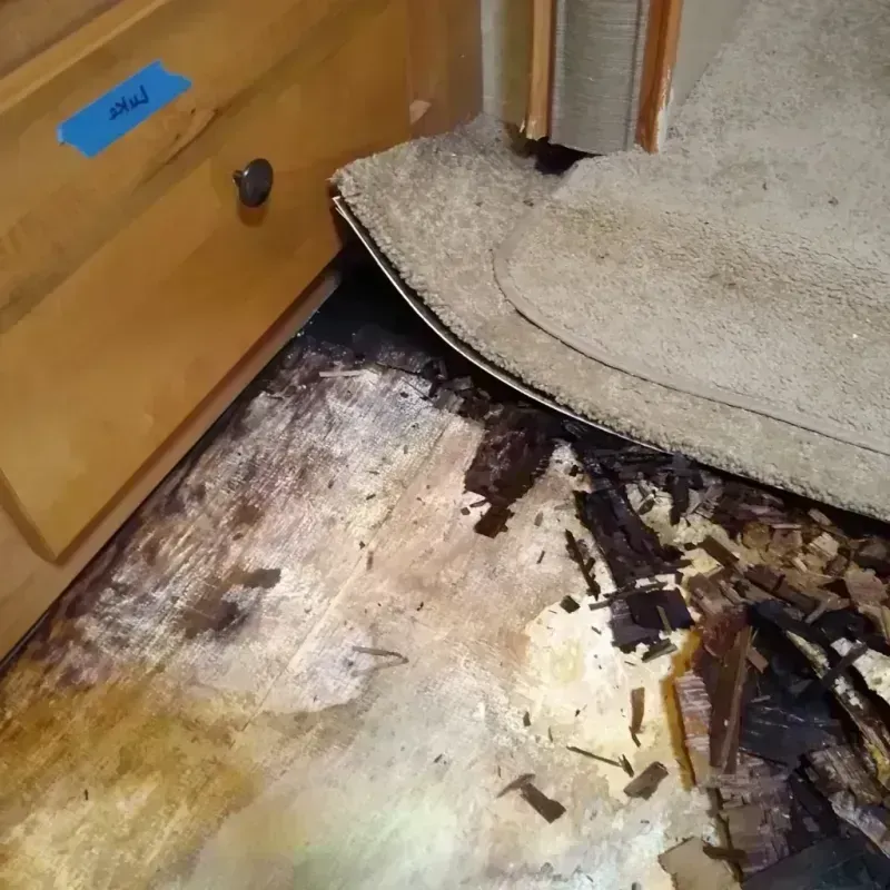 Wood Floor Water Damage in Birmingham, AL